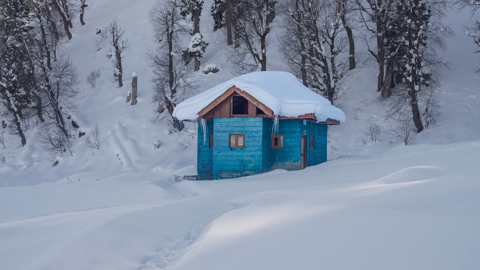 Blue wooden house blanketed in snow amidst a frosty winter in Gulmarg, offering a serene and tranquil scene.